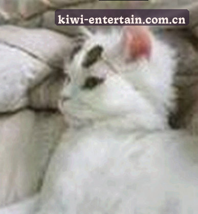 王小萌